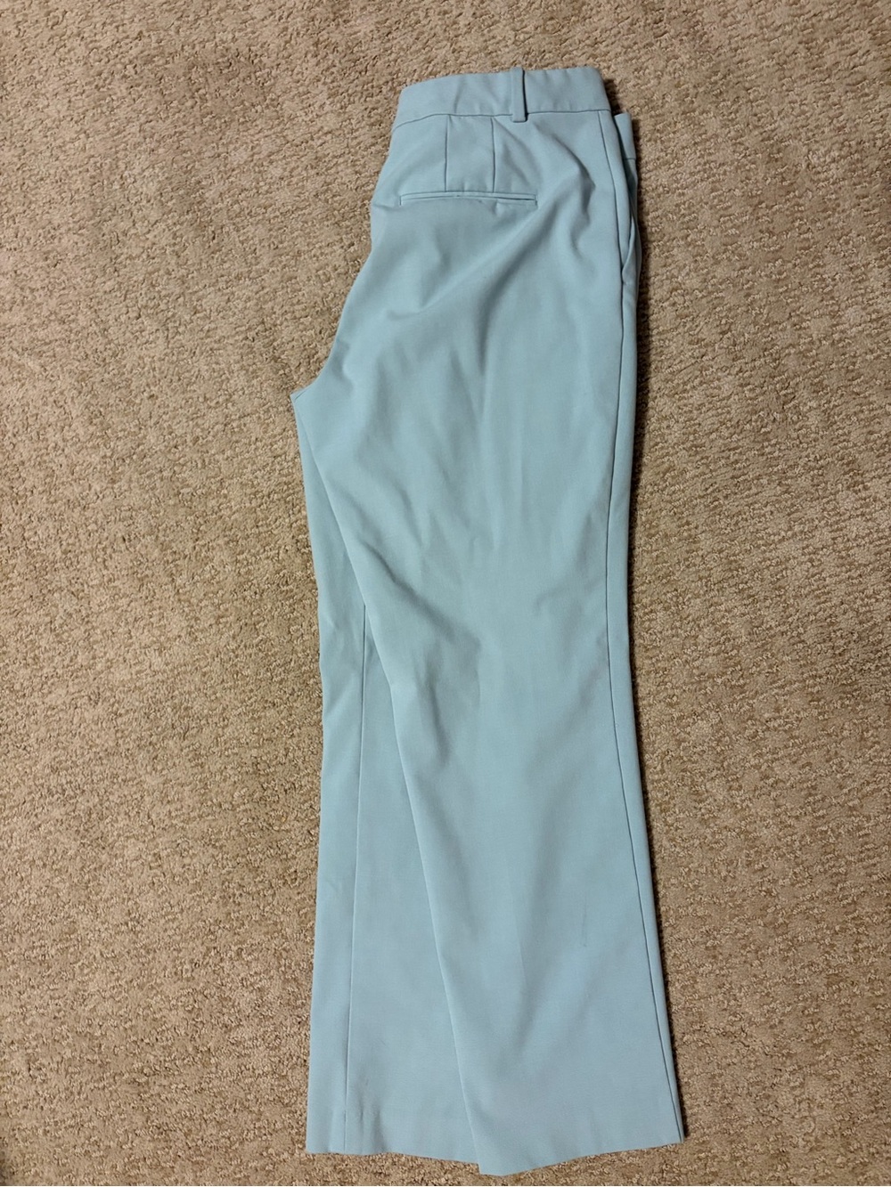Ann Taylor Women’s Pale Blue Dress Trousers